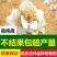 陕西臻秦岭猕猴桃活性花粉红心黄心绿心通用花粉