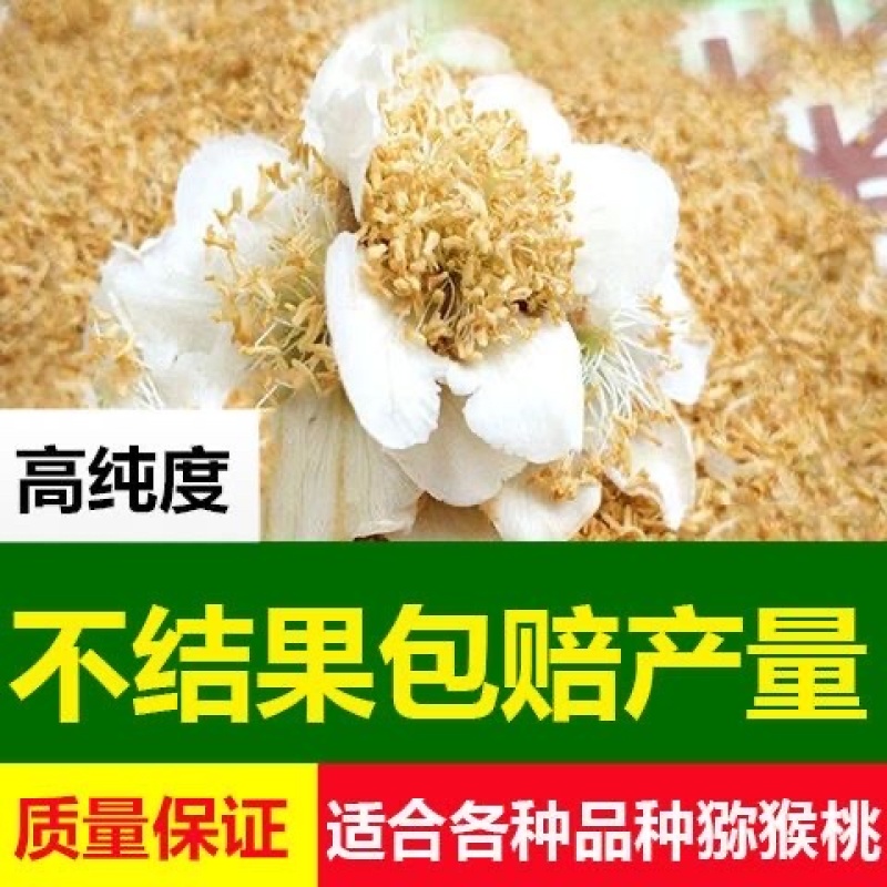 陕西臻秦岭猕猴桃活性花粉红心黄心绿心通用花粉