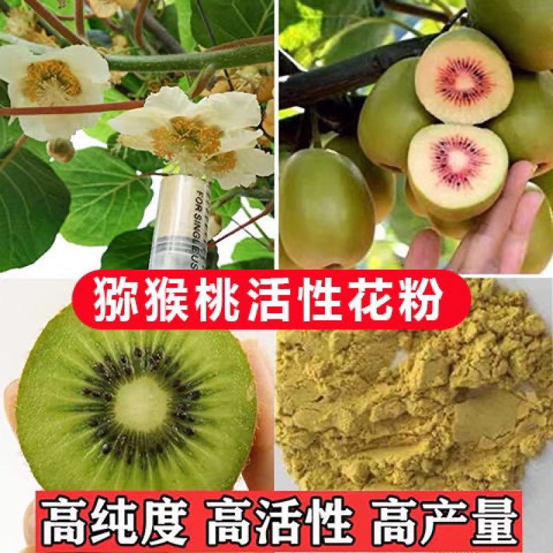 陕西臻秦岭猕猴桃活性花粉红心黄心绿心通用花粉