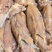 【小肉架】青岛小肉架净堂去肺去尾