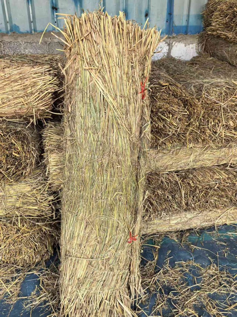 西瓜草帘绿化草帘货源充足产地直销