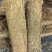 西瓜草帘绿化草帘货源充足产地直销