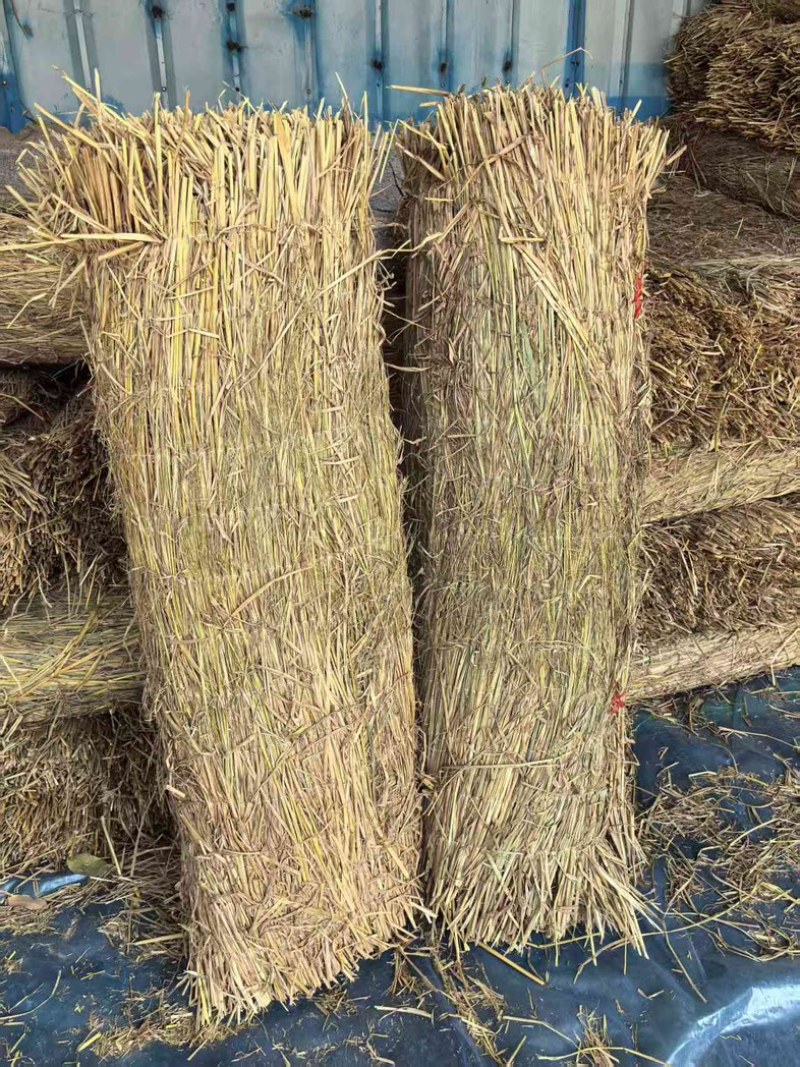 西瓜草帘绿化草帘货源充足产地直销