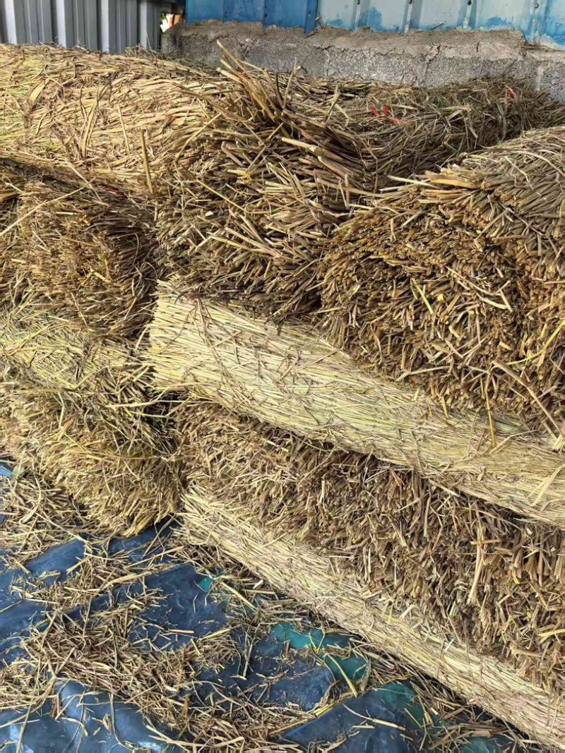 西瓜草帘绿化草帘货源充足产地直销