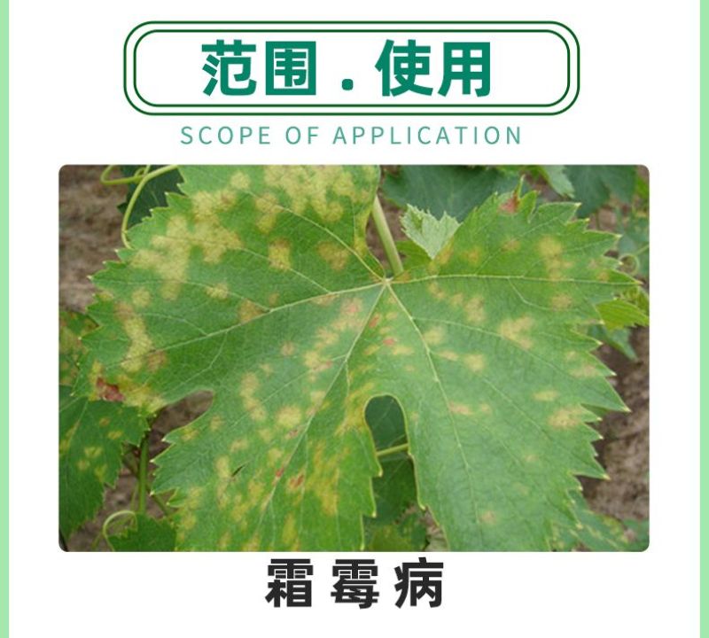 一帆沃海23.4%甲霜霜霉威甲霜灵葡萄霜霉病内吸农药保