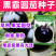 黑霸圆茄种子早熟耐寒较耐热果大肉多口感好耐运输