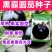 黑霸圆茄种子早熟耐寒较耐热果大肉多口感好耐运输