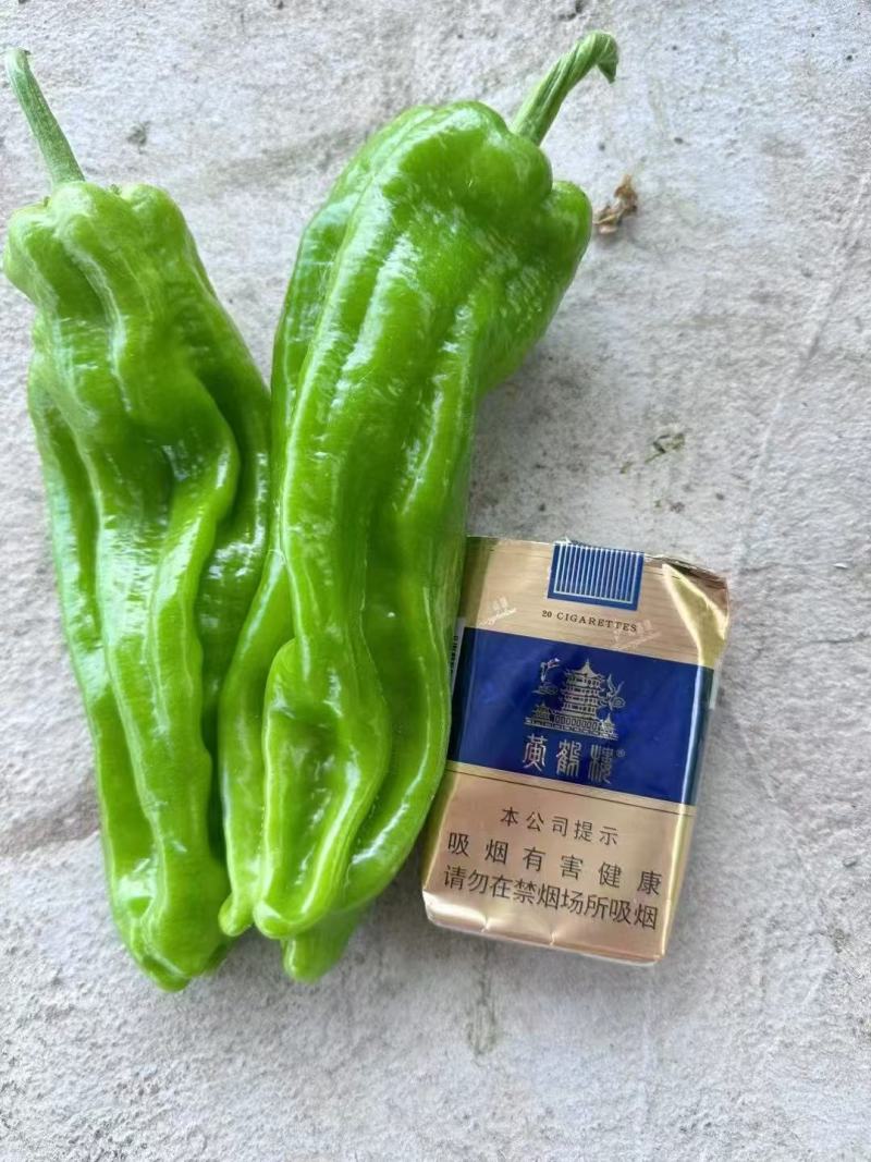 （精品辣椒）薄皮辣椒/河南鲜辣椒/专业代办/代收代发全国