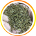 除虫菊种子多年生耐寒植物驱蚊盆栽阳台公园庭院春季四季