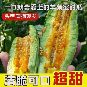 【品质】羊角蜜甜瓜2024大量现货价格实惠对接电商先到先得！