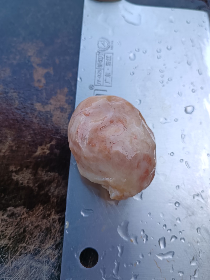 出售鸡宝一个