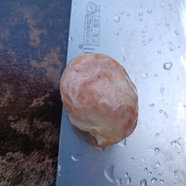 出售鸡宝一个