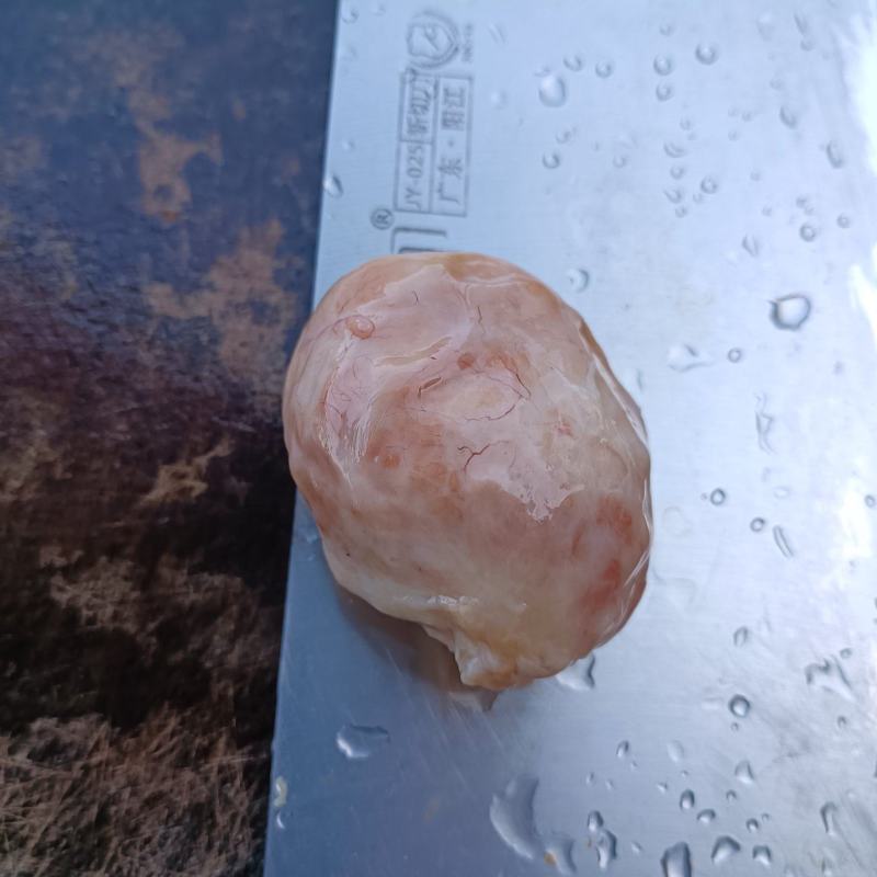 出售鸡宝一个