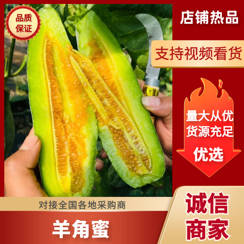 精品羊角蜜甜瓜山东潍坊羊角蜜种植基地供应电商、批发