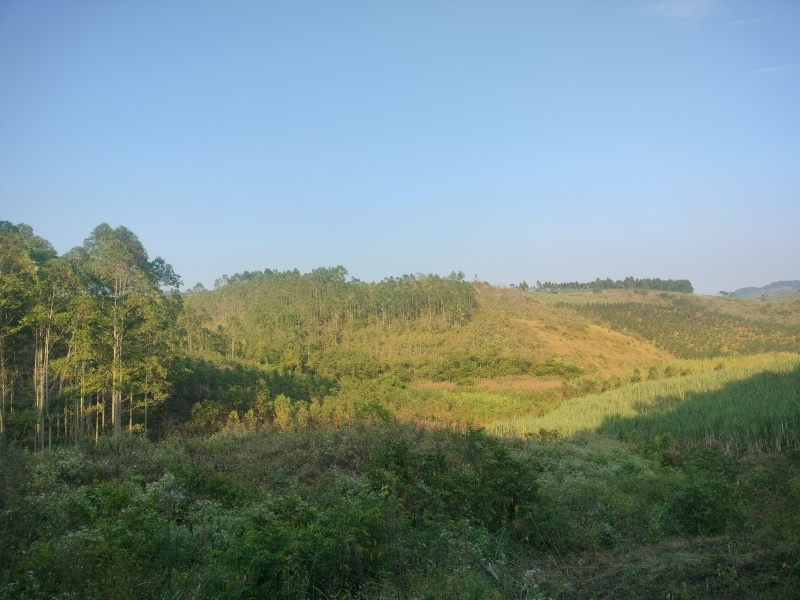 出现自家地