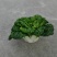 精品黄心乌塌菜品质赛羊肉