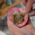 五福海鲜水饺手工饺子全家福水饺半成品冻饺海鲜饺子