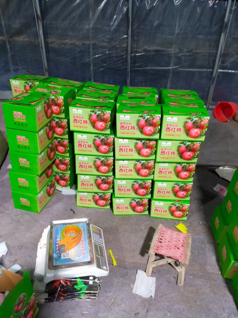 精品口感西红柿