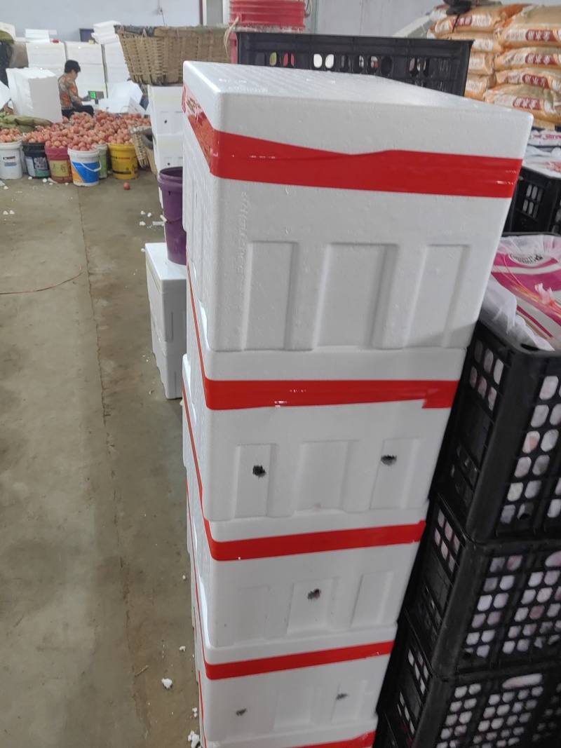 精品口感西红柿