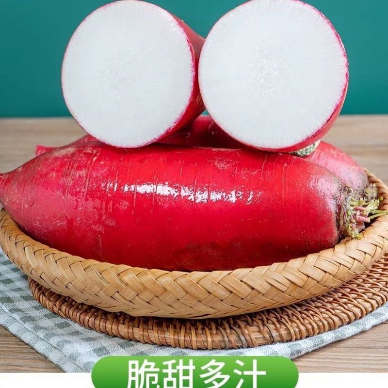 红皮萝卜春季暖棚萝卜产地现挖现装车三两起步可代发货质量好