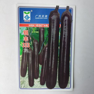 银丰333茄子种子紫黑茄品种种子杂交一代种子