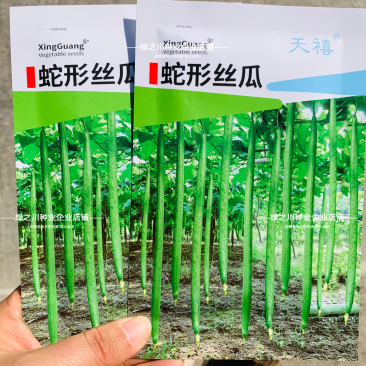 特长蛇形丝瓜种子抗病南北方农家庭院爬藤蔬菜种籽耐热长丝瓜