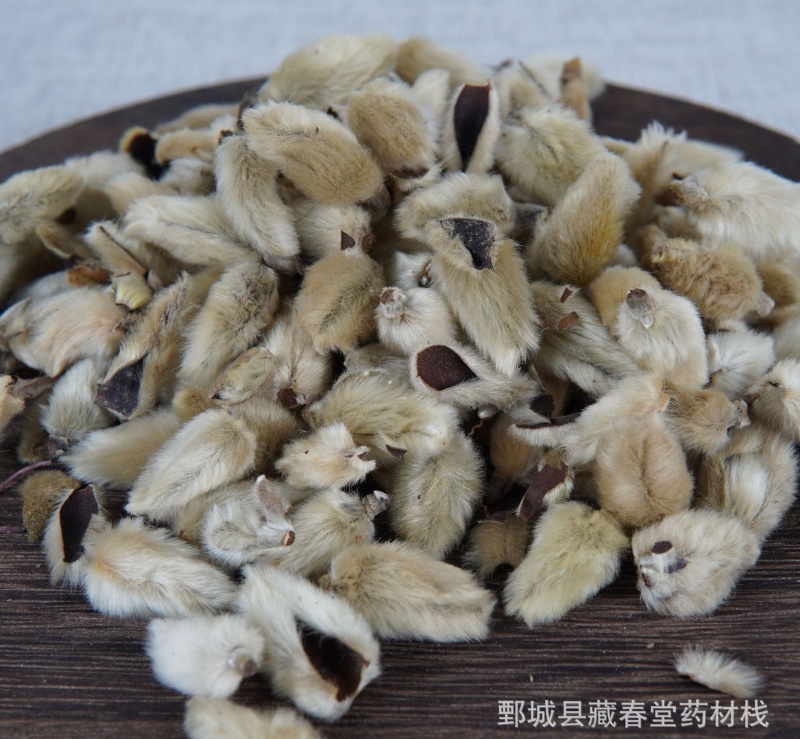 辛夷辛夷花毛桃花辛夷粉毛笔头中药材辛夷花