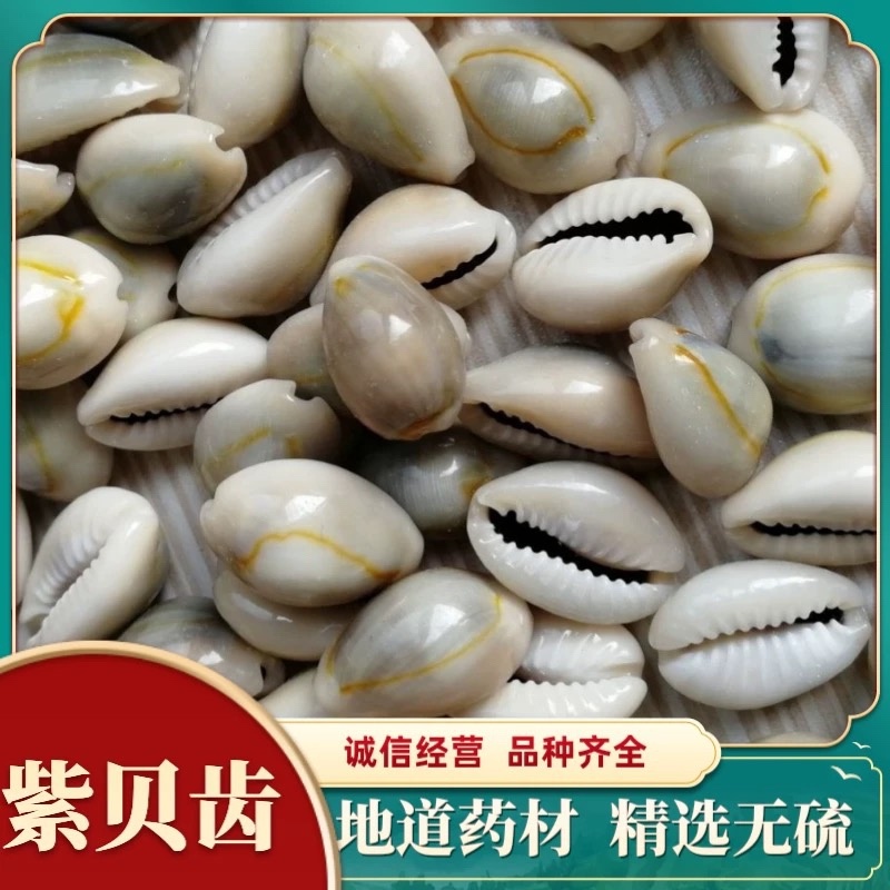 云南中药材贝齿包邮
