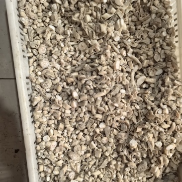 山东菏泽牡丹区全熟羊肠免费加工切段品质保证诚信