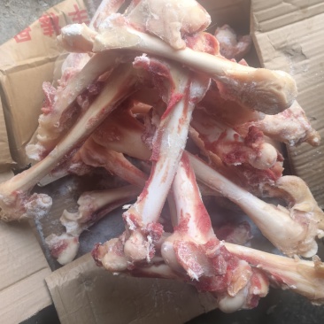 熬汤羊腿骨