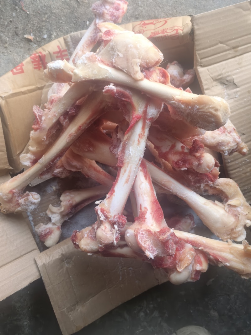 熬汤羊腿骨