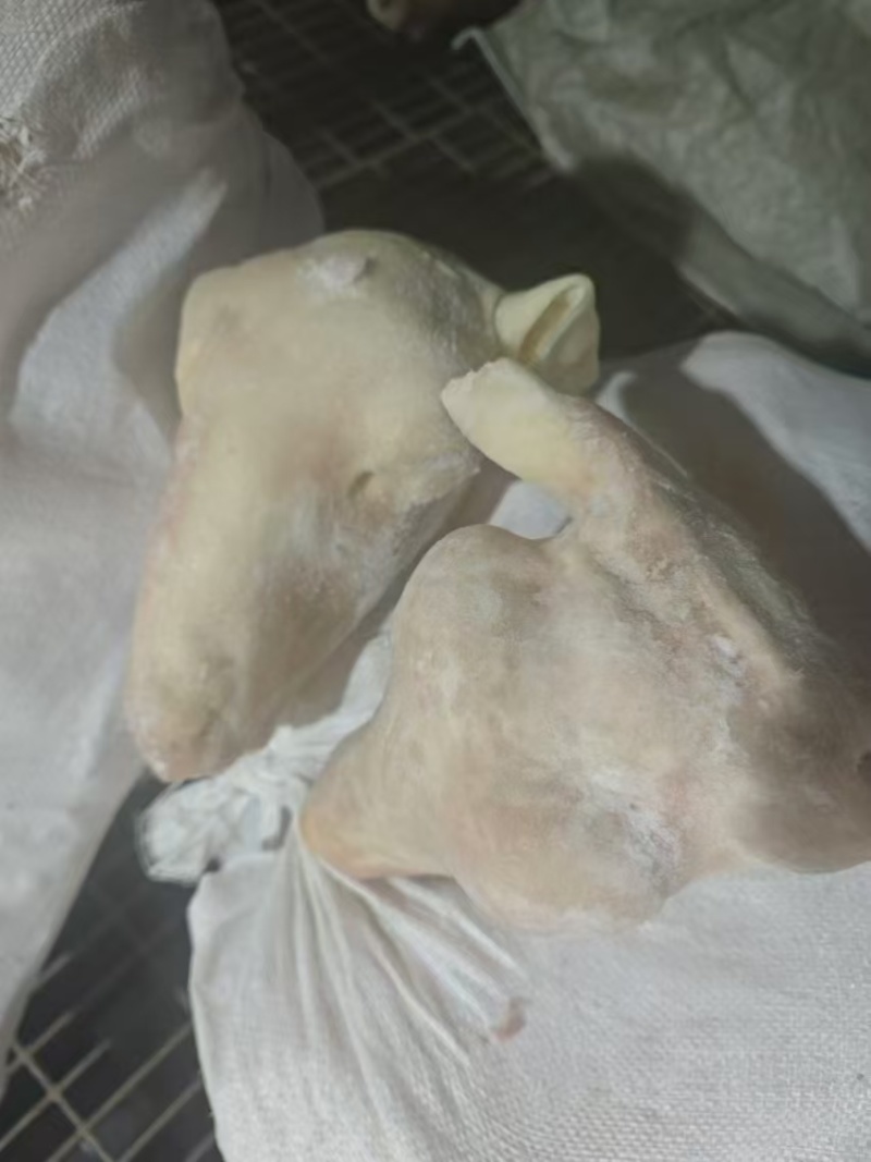 山东菏泽牡丹区直发水褪带皮羔子头3斤多羊头羊副产品大量供应