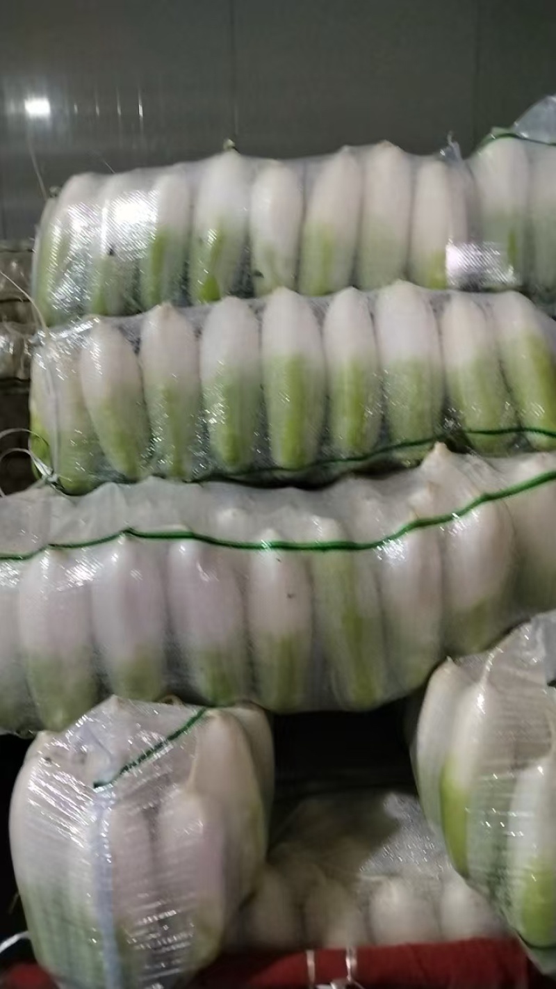 青头萝卜、水果萝卜大量出货，需要的朋友欢迎联系