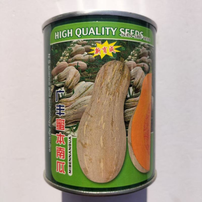 南蔬广丰蜜本南瓜种子细甜橙红肉农家春秋播种南瓜种