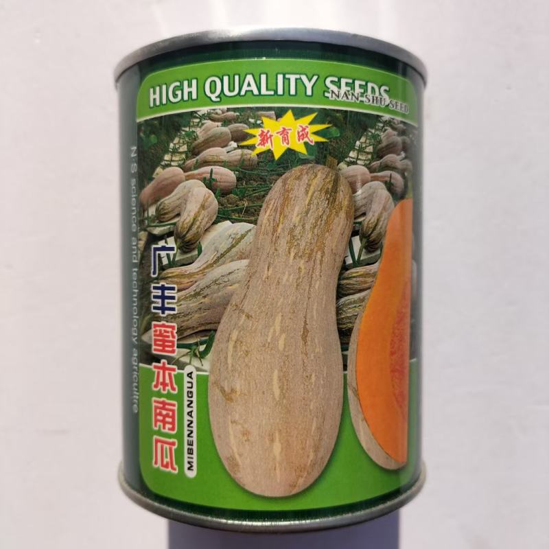南蔬广丰蜜本南瓜种子细甜橙红肉农家春秋播种南瓜种
