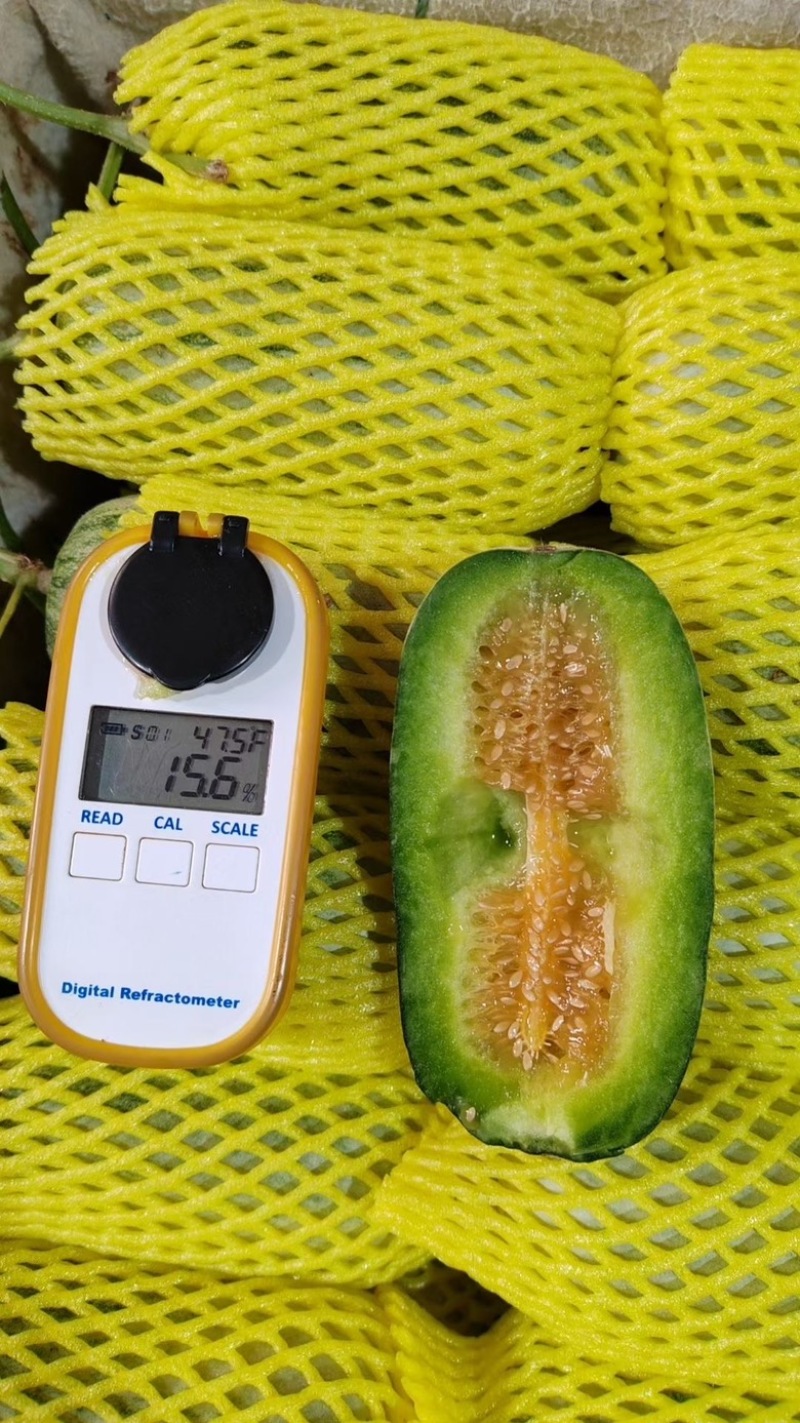 博洋甜瓜博洋72蜜源18蜜77凯蜜88社区团购，精品市场