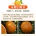 【精品纯甜】沃柑新鲜应季孕妇水果薄皮整箱柑橘直发