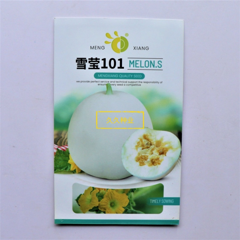 雪莹101白皮甜瓜种子浓香甜脆早熟高产抗病商品性佳