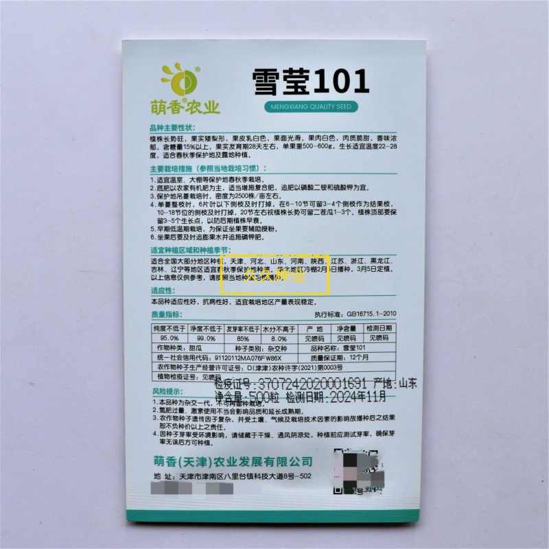 雪莹101白皮甜瓜种子浓香甜脆早熟高产抗病商品性佳