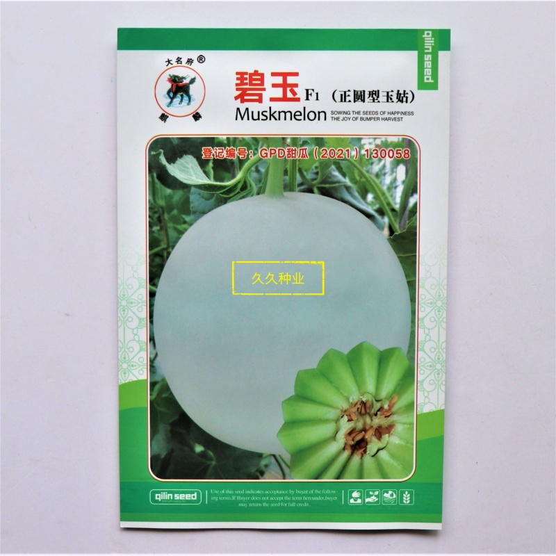 碧玉正圆型玉姑甜瓜种子高端玉菇白皮绿肉冰淇淋软糯香甜蜜瓜