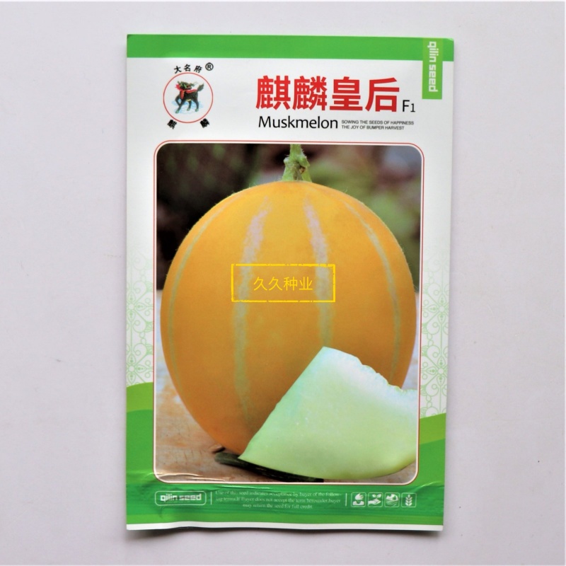 麒麟皇后黄皮甜瓜种子高糖甜脆大果早熟高产商品性佳
