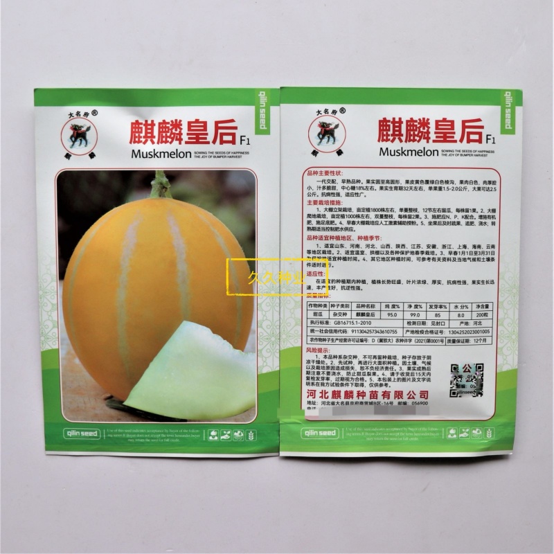 麒麟皇后黄皮甜瓜种子高糖甜脆大果早熟高产商品性佳