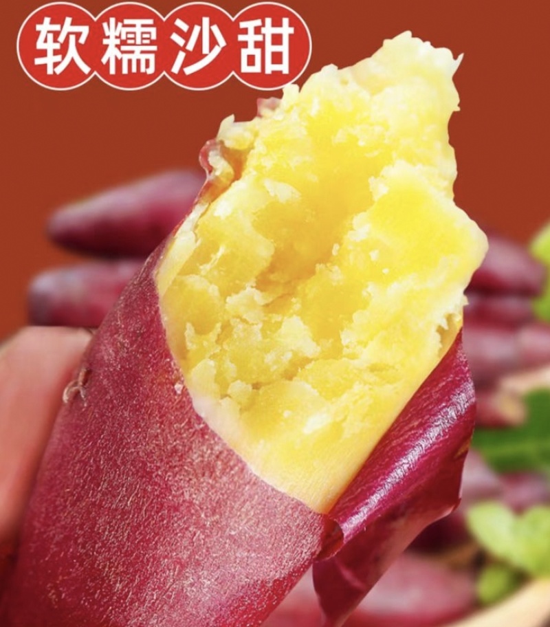 板栗薯蜜薯红薯地瓜番薯供应电商红薯一件代发