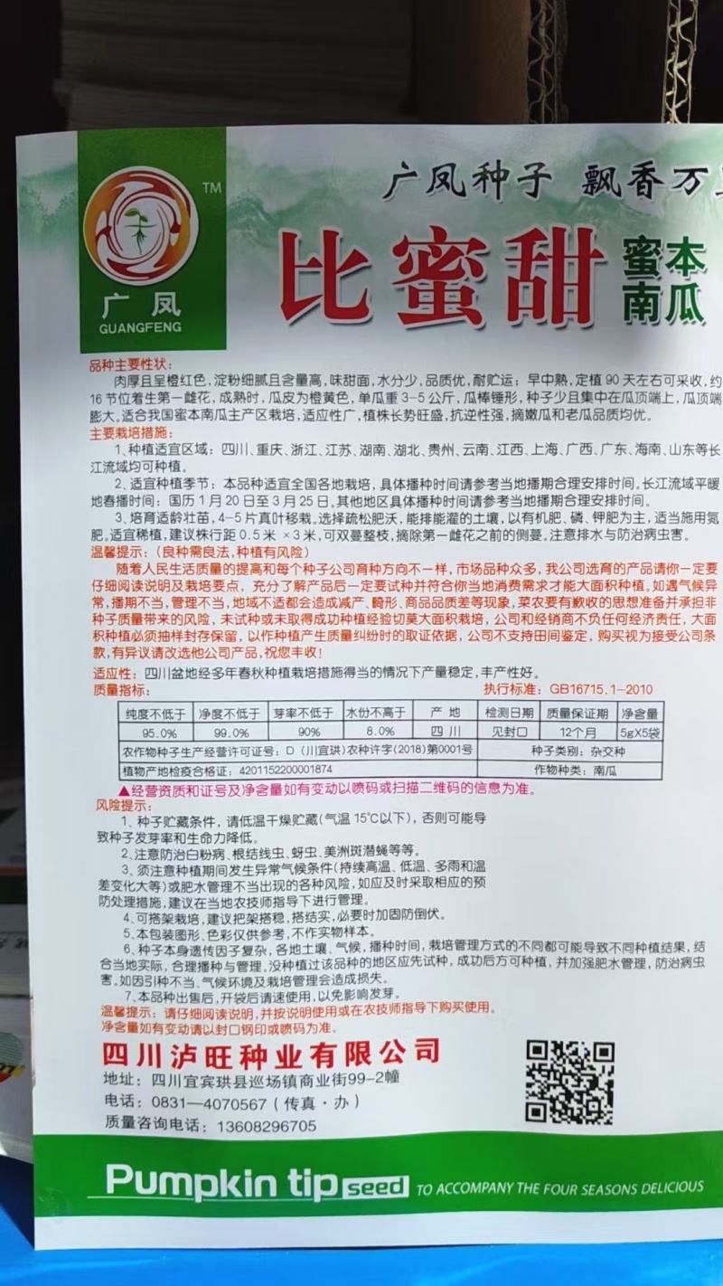 南瓜种子比蜜甜香甜粉面蜜本南瓜座果力强产量高瓜靓