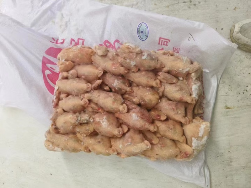 二级西装鸡