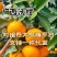 【电商】广西武鸣沃柑支持一件代发产地溯源抖音多多社区团购