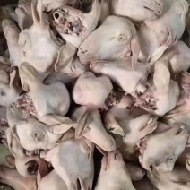 羊头货不错