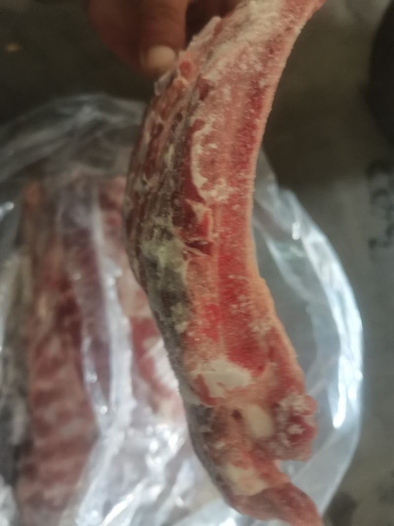 鲜白条分割肋排，箱装5到8片，