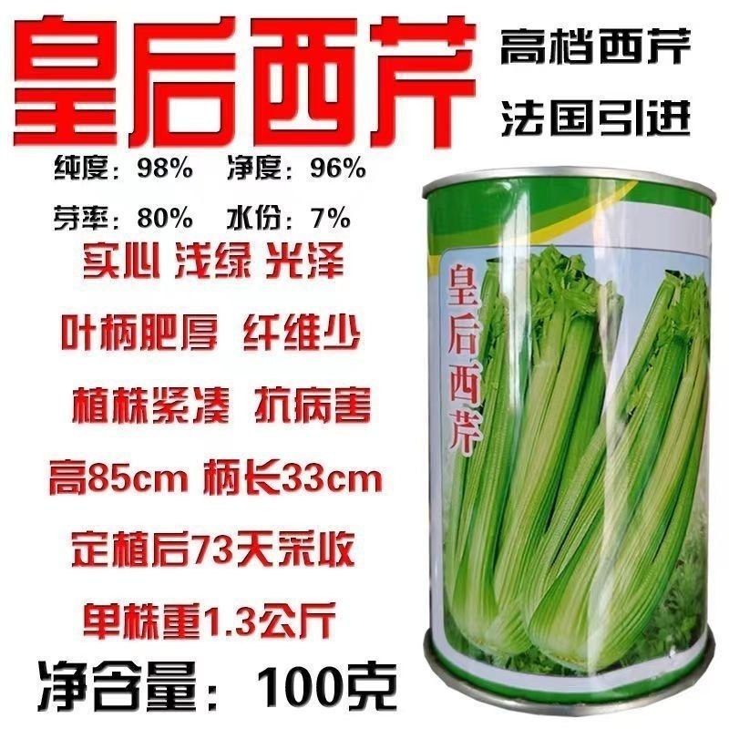 皇后西芹种子四季高产脆嫩香芹芹菜种籽抗病耐热大田四季蔬菜