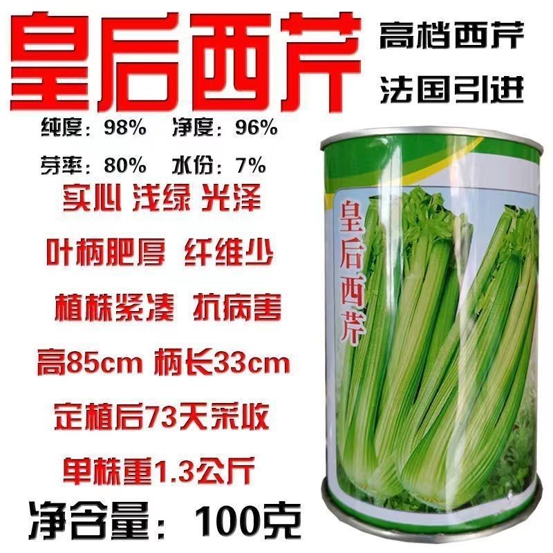 皇后西芹种子四季高产脆嫩香芹芹菜种籽抗病耐热大田四季蔬菜